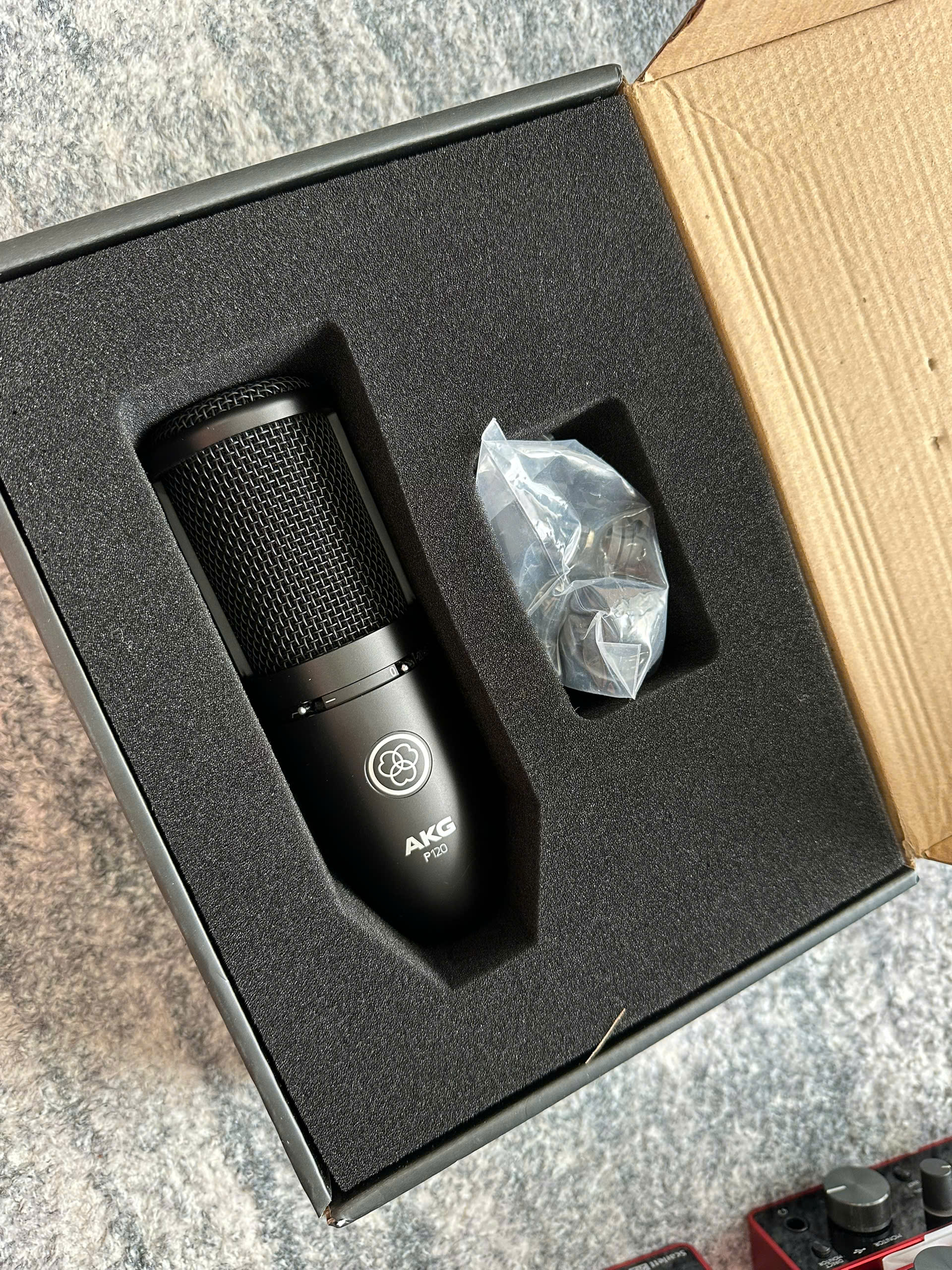AKG P120